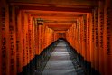 38 Kyoto, fushima inari shrine